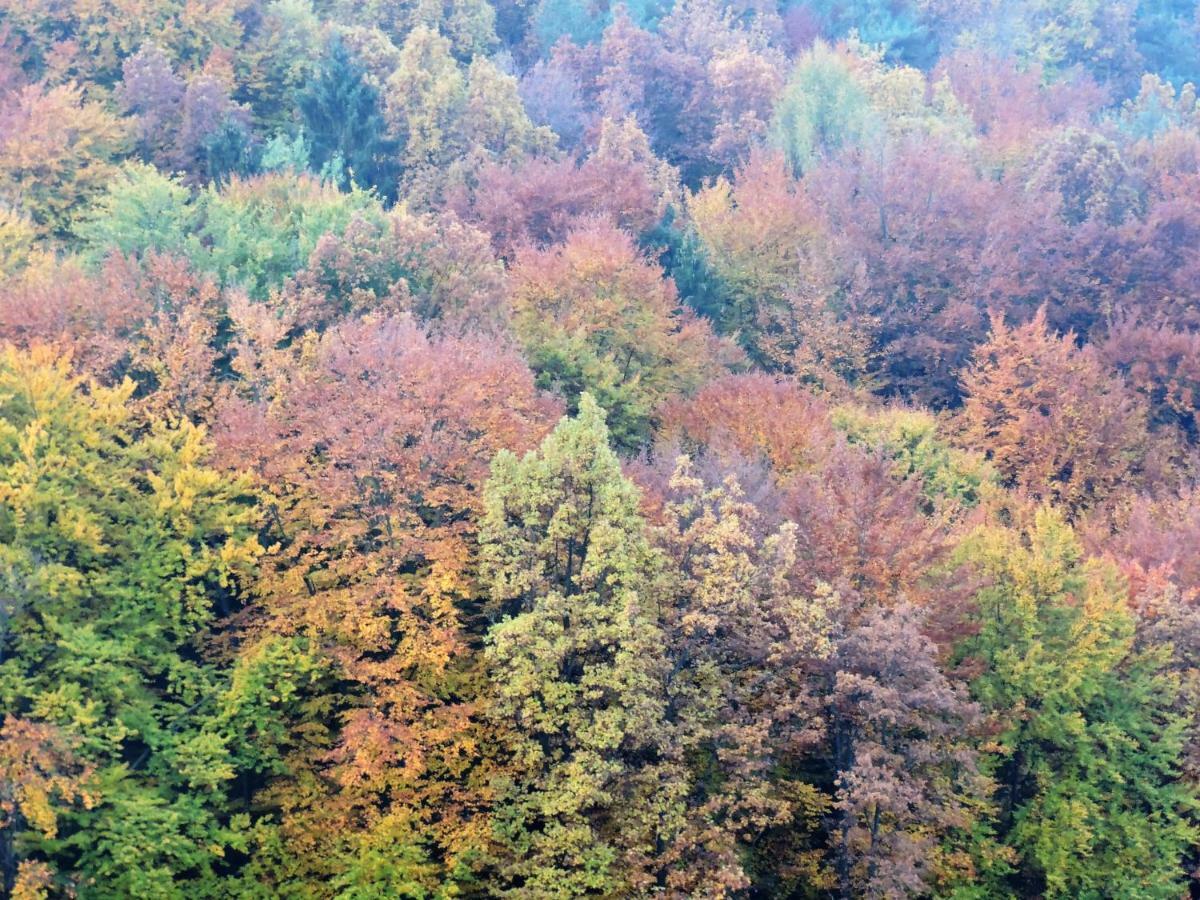 Gaestezimmer Klopfer Sankt Johann im Saggautal Extérieur photo